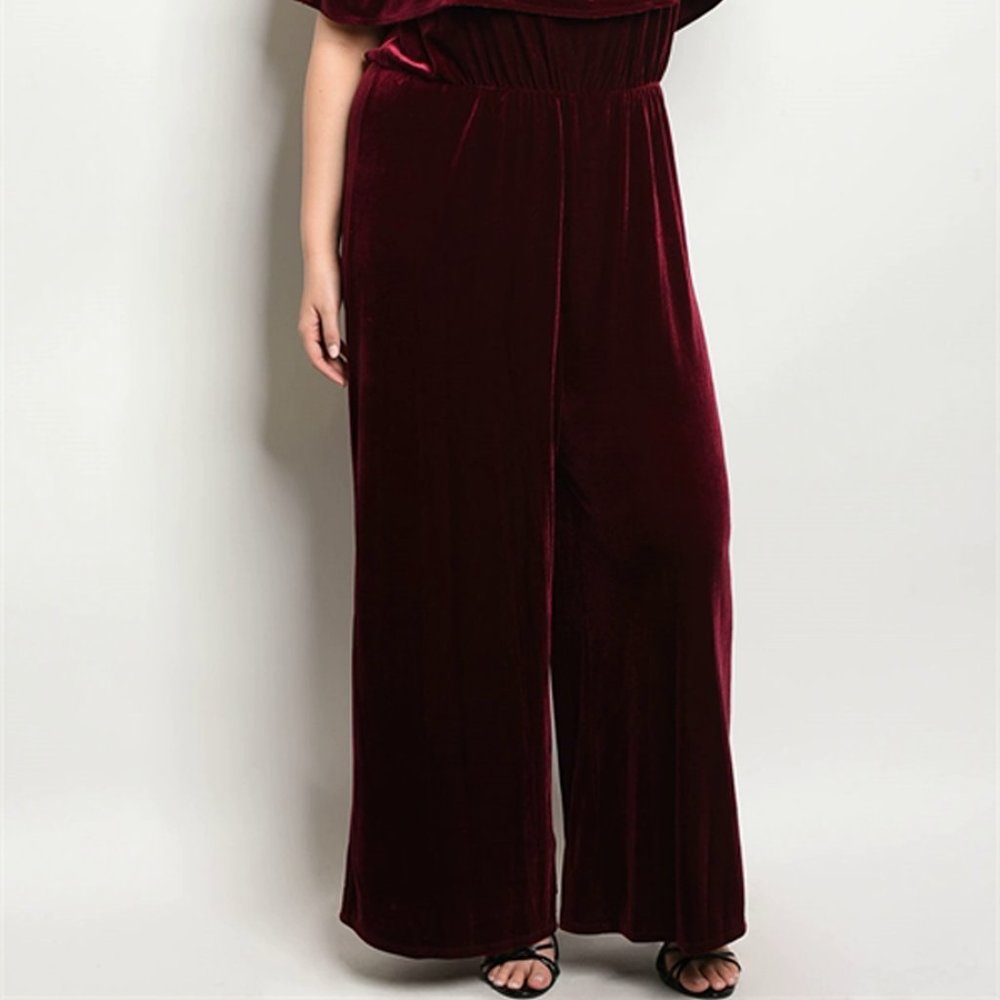 Beautiful Velvet Jumpsuit - Picture 3 of 4